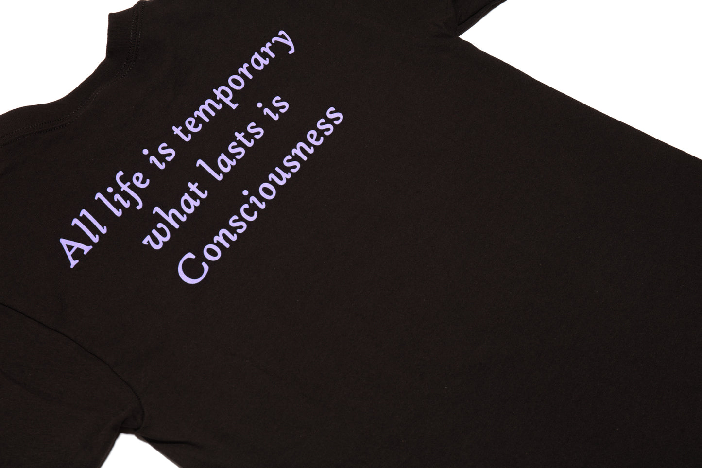 All Life Is Temporary T-Shirt (Black)