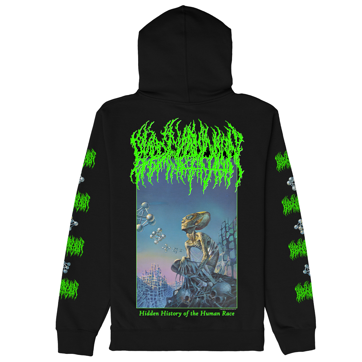 Hidden History Zip Up Hoodie (Black)