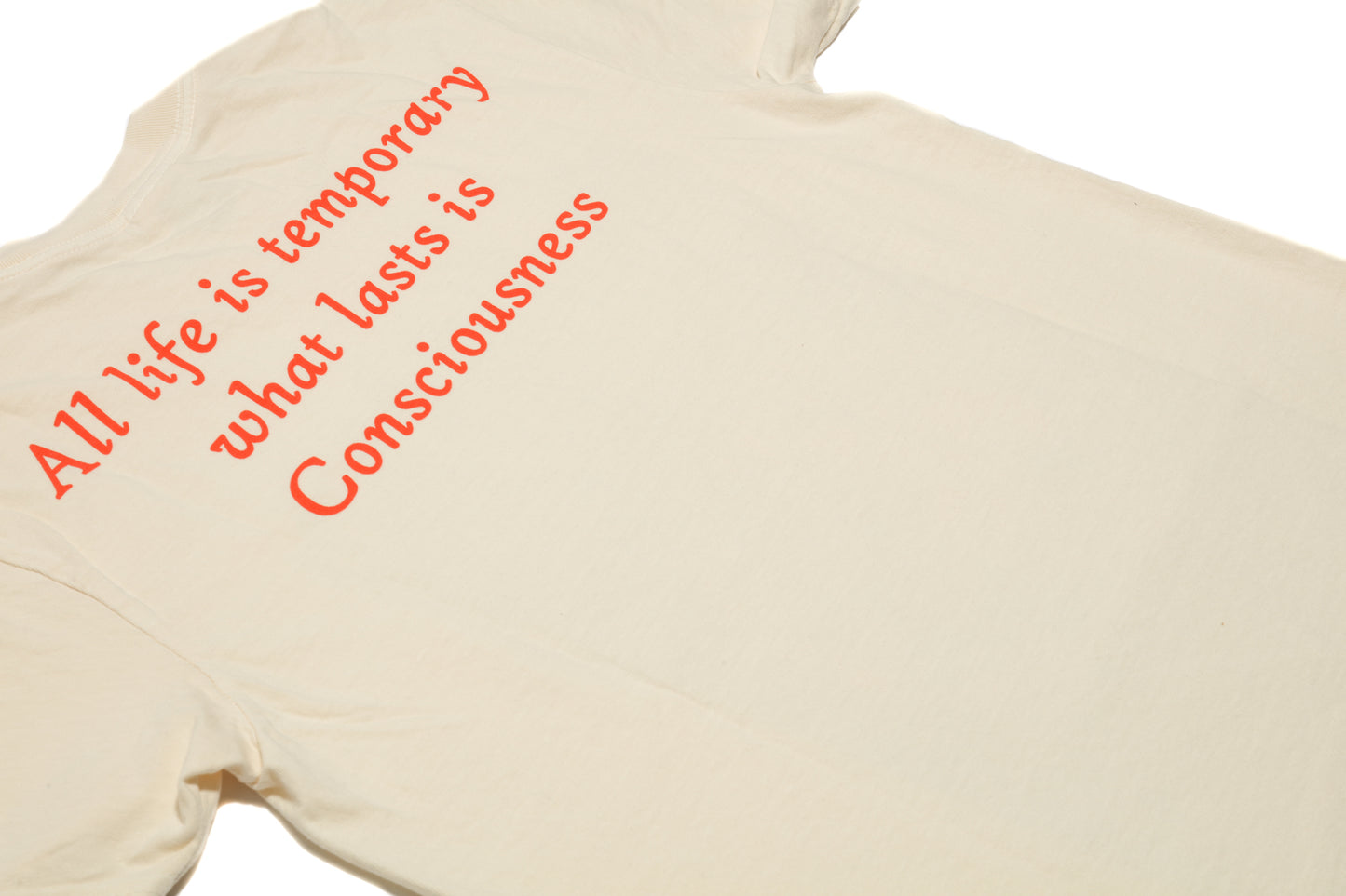 All Life Is Temporary T-Shirt (Ivory)