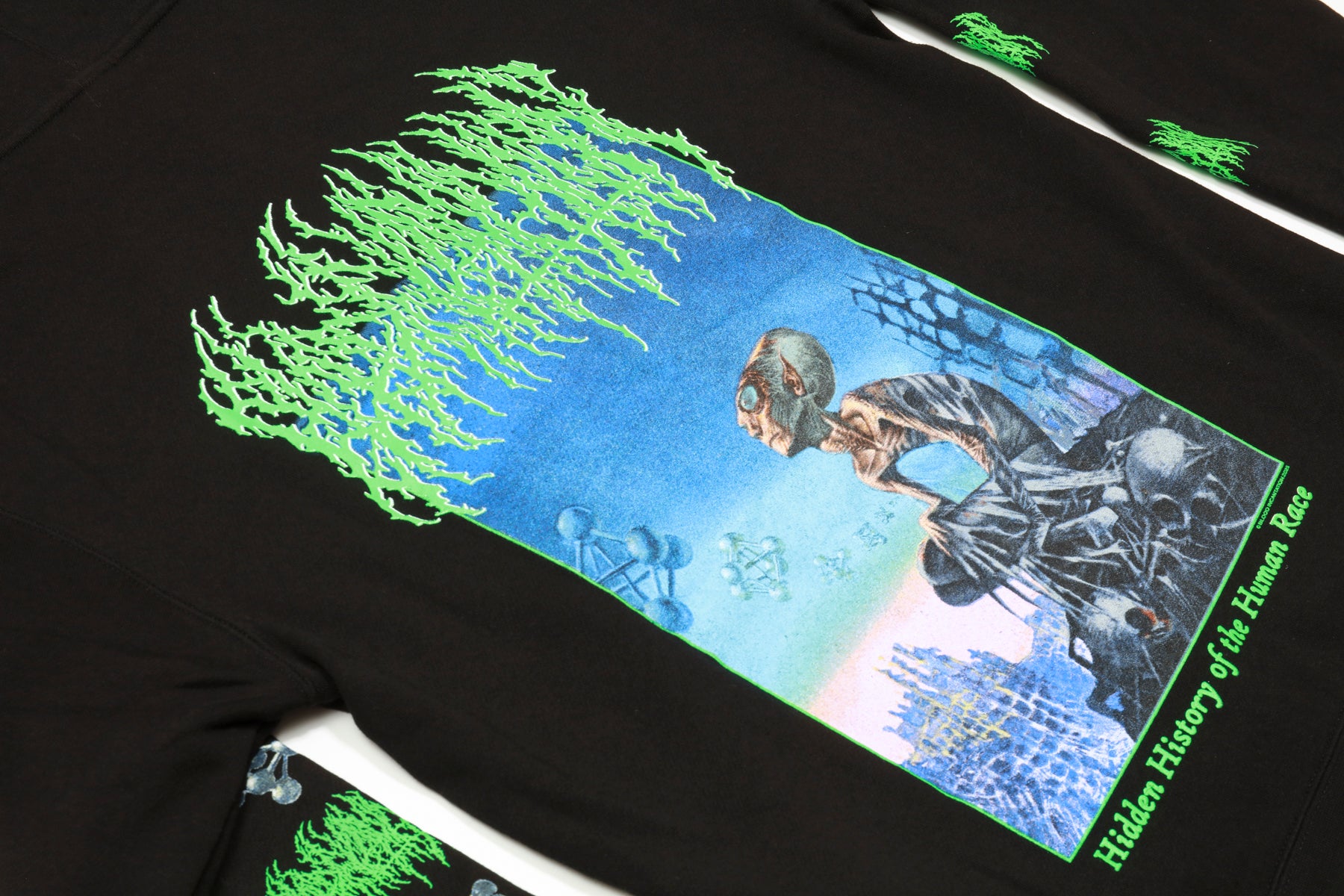 Hidden History Zip Up Hoodie (Black) – Blood Incantation