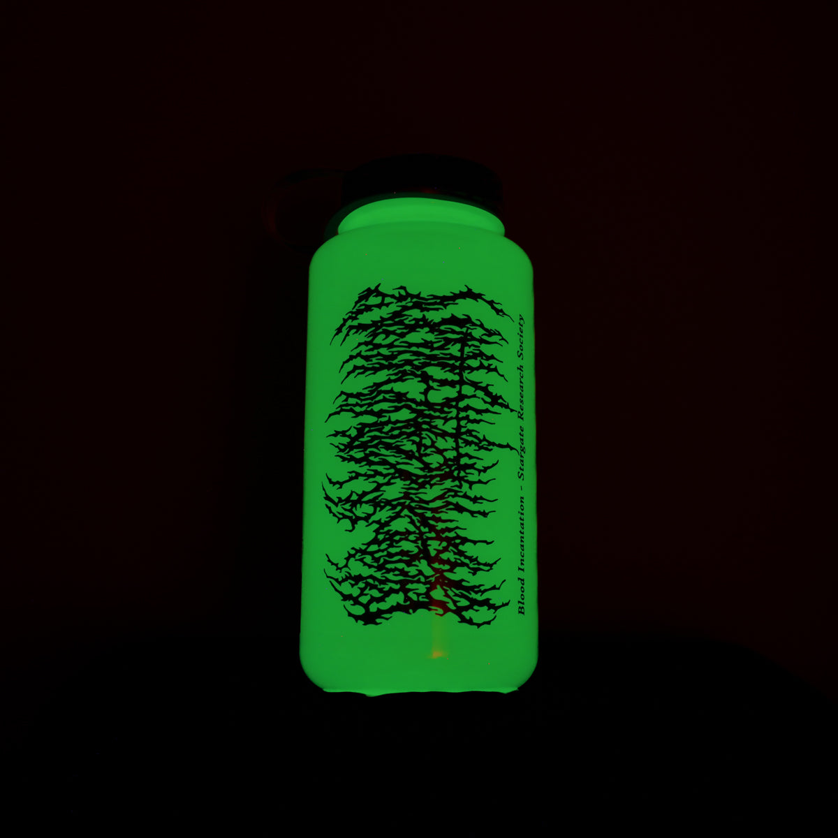 Hidden Histories Nalgene Water Bottle (Glow In The Dark)